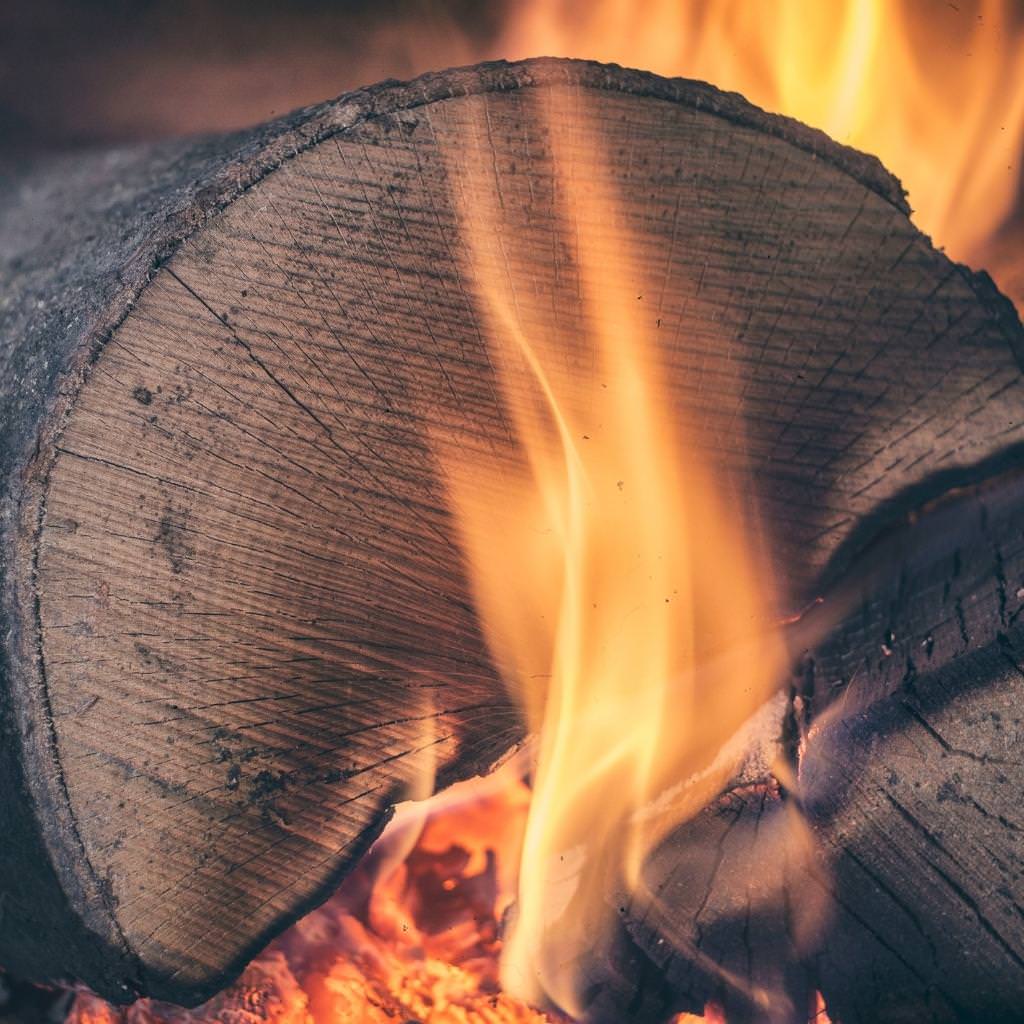 What Is The Best Wood For Your Pizza Oven?